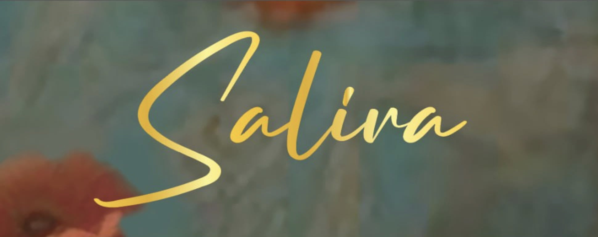 Bong’s Design At The Upcoming Phnom Penh Farmers' Market 2 Salira Logo