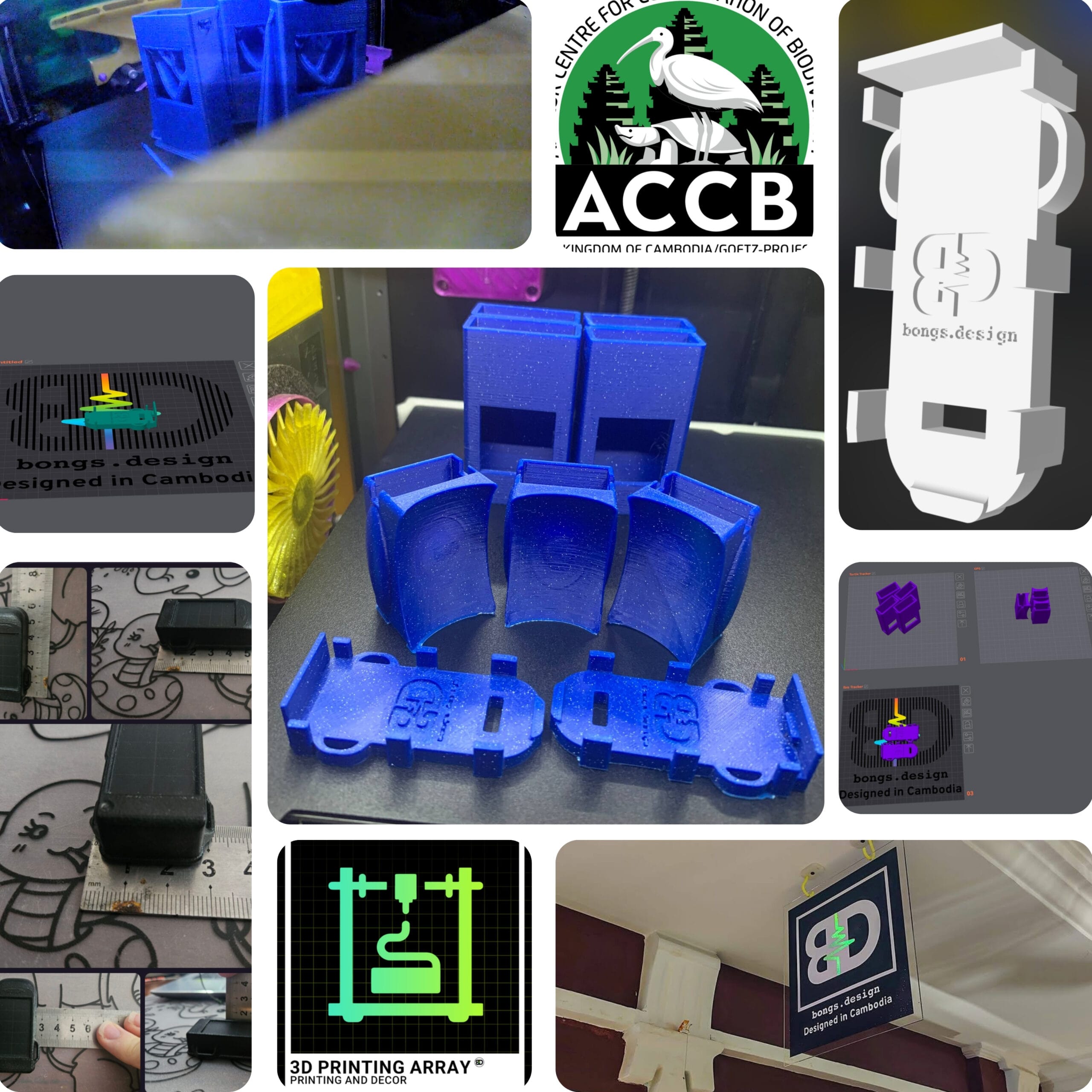 3D Printing For Wildlife Conservation: A Bongs.design &Amp; Accb Case Study 1 Accb Fb Post